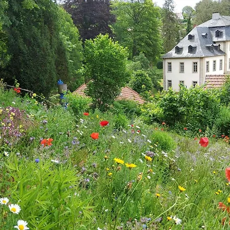 Teichblick